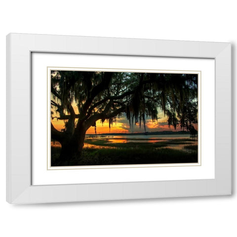 Savannah Evening White Modern Wood Framed Art Print with Double Matting by Mikaels, Natalie