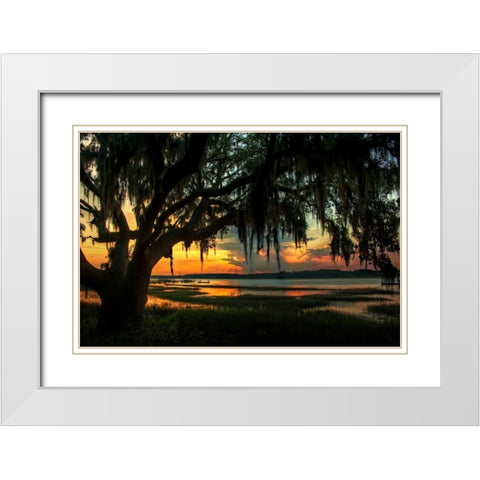 Savannah Evening White Modern Wood Framed Art Print with Double Matting by Mikaels, Natalie