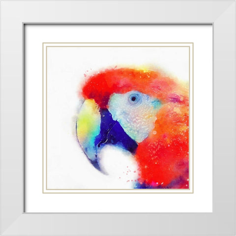 The Articulate II White Modern Wood Framed Art Print with Double Matting by Maldonado, Jacqueline