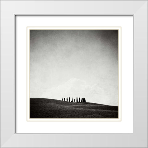 Hidden Forest White Modern Wood Framed Art Print with Double Matting by Morrissey, Margaret