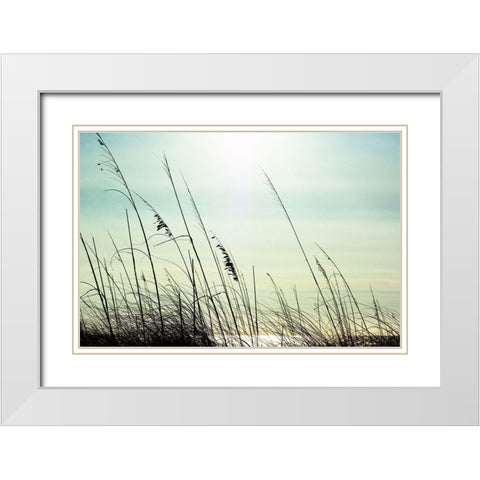 Coastal White Modern Wood Framed Art Print with Double Matting by Marie, Dina