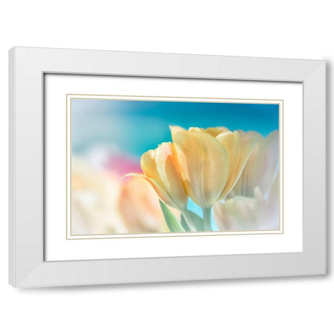 Magical White Modern Wood Framed Art Print with Double Matting by Marie, Dina