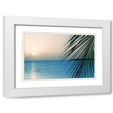 Palm White Modern Wood Framed Art Print with Double Matting by Marie, Dina