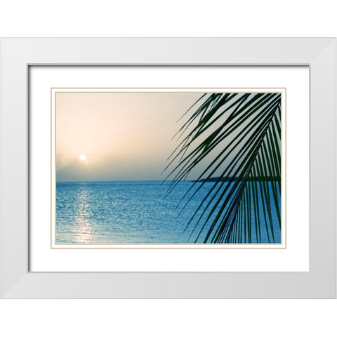 Palm White Modern Wood Framed Art Print with Double Matting by Marie, Dina