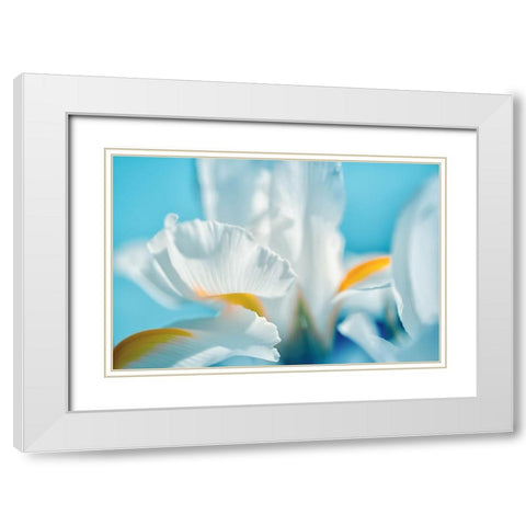 Tropical Dreams White Modern Wood Framed Art Print with Double Matting by Marie, Dina