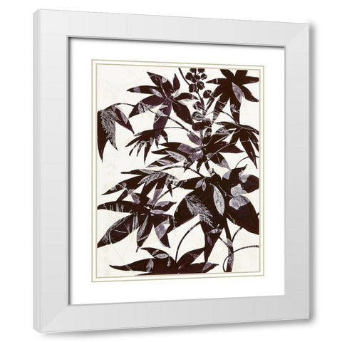 Castor Bean 2 White Modern Wood Framed Art Print with Double Matting by MacCollum, Cynthia