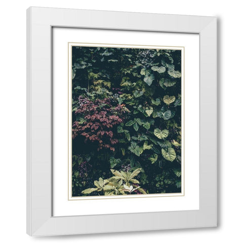 Plant Wall White Modern Wood Framed Art Print with Double Matting by Design Fabrikken