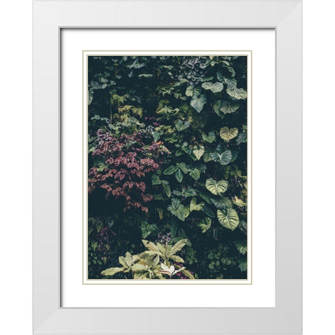 Plant Wall White Modern Wood Framed Art Print with Double Matting by Design Fabrikken