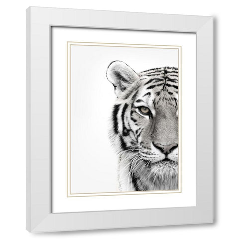 White Tiger White Modern Wood Framed Art Print with Double Matting by Design Fabrikken