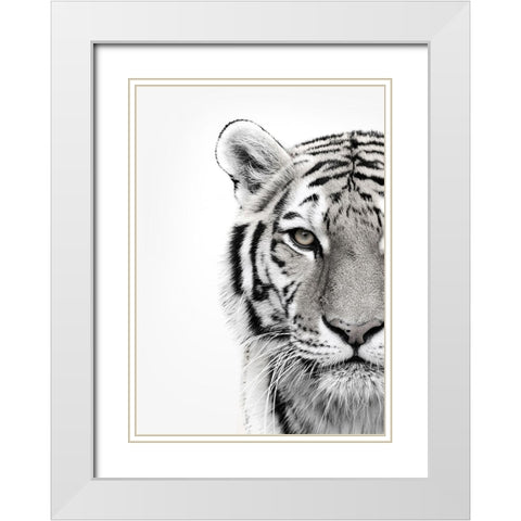 White Tiger White Modern Wood Framed Art Print with Double Matting by Design Fabrikken