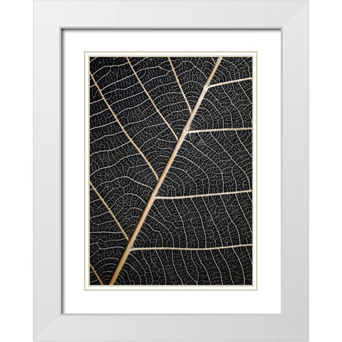 Leaf Veins White Modern Wood Framed Art Print with Double Matting by Design Fabrikken
