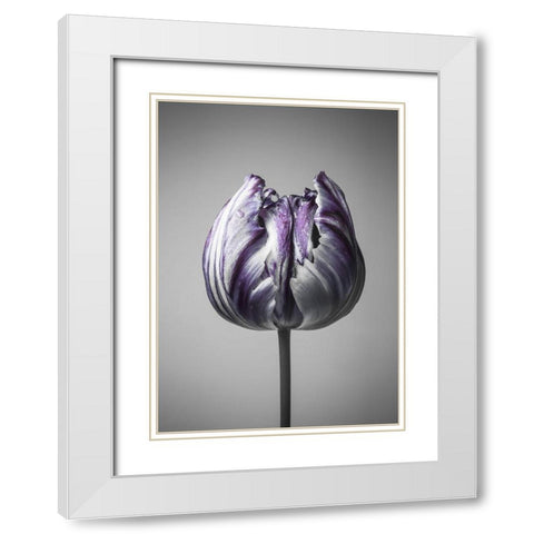 Baroque 5 White Modern Wood Framed Art Print with Double Matting by Design Fabrikken