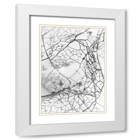 Leaf Skeleton BW White Modern Wood Framed Art Print with Double Matting by Design Fabrikken