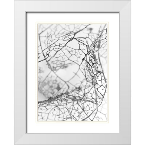 Leaf Skeleton BW White Modern Wood Framed Art Print with Double Matting by Design Fabrikken