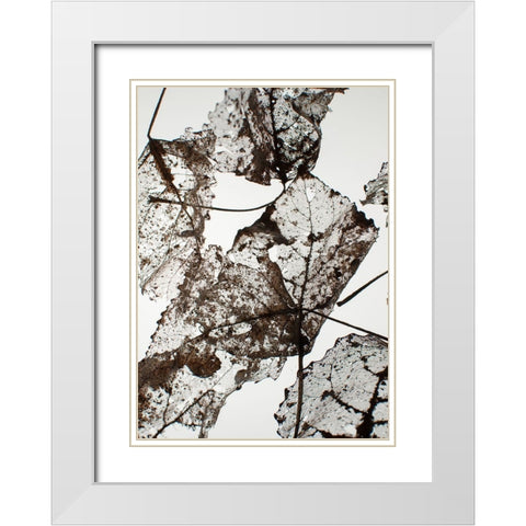 Leaves White Modern Wood Framed Art Print with Double Matting by Design Fabrikken