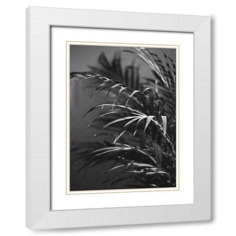 Black Plant White Modern Wood Framed Art Print with Double Matting by Design Fabrikken