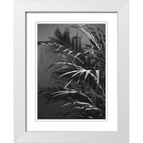 Black Plant White Modern Wood Framed Art Print with Double Matting by Design Fabrikken