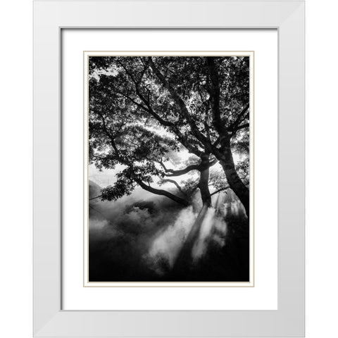 Misty Black White Modern Wood Framed Art Print with Double Matting by Design Fabrikken