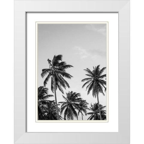 Palms in Grey White Modern Wood Framed Art Print with Double Matting by Design Fabrikken