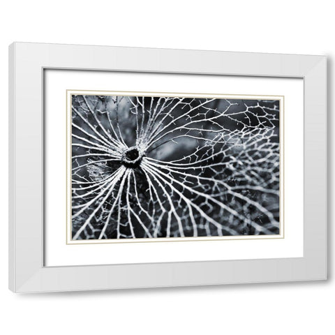 Winterspell White Modern Wood Framed Art Print with Double Matting by Design Fabrikken
