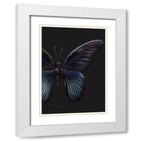 Black Butterfly on Grey White Modern Wood Framed Art Print with Double Matting by Design Fabrikken