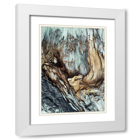 Wooden White Modern Wood Framed Art Print with Double Matting by Design Fabrikken