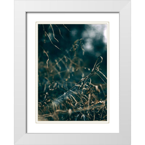 Secret 1 White Modern Wood Framed Art Print with Double Matting by Design Fabrikken
