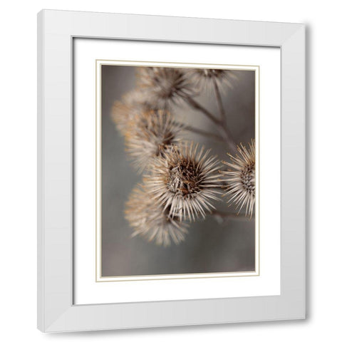 Avantgarde White Modern Wood Framed Art Print with Double Matting by Design Fabrikken
