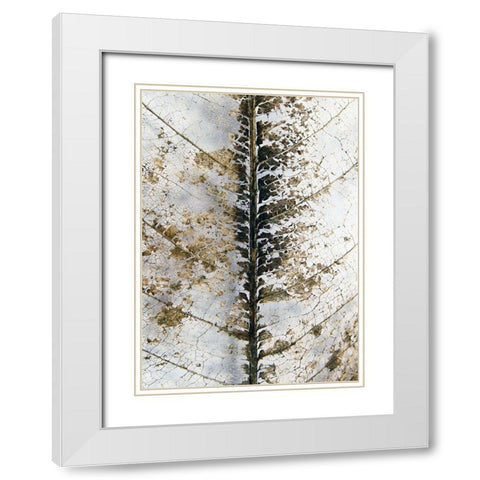 Close Up White Modern Wood Framed Art Print with Double Matting by Design Fabrikken