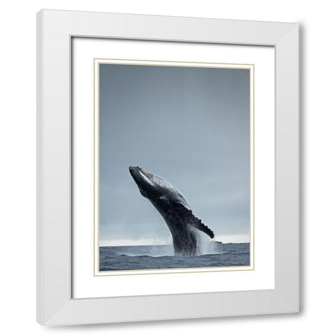 40 Ton White Modern Wood Framed Art Print with Double Matting by Design Fabrikken