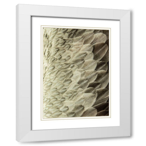 Volture II White Modern Wood Framed Art Print with Double Matting by Design Fabrikken