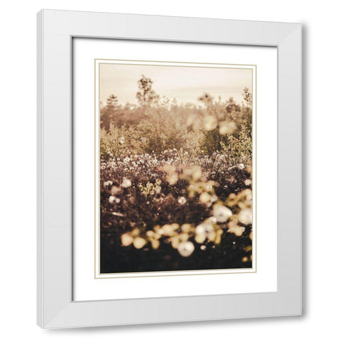 Golden Field White Modern Wood Framed Art Print with Double Matting by Design Fabrikken