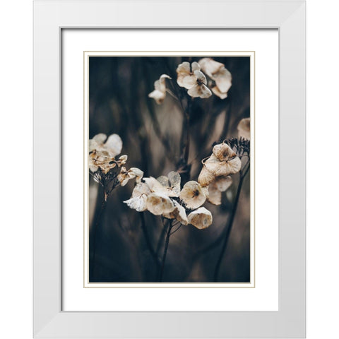 Secret 4 White Modern Wood Framed Art Print with Double Matting by Design Fabrikken