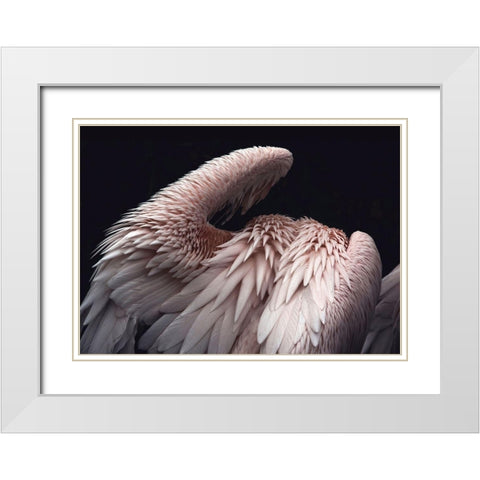 Flamboyance 2 White Modern Wood Framed Art Print with Double Matting by Design Fabrikken