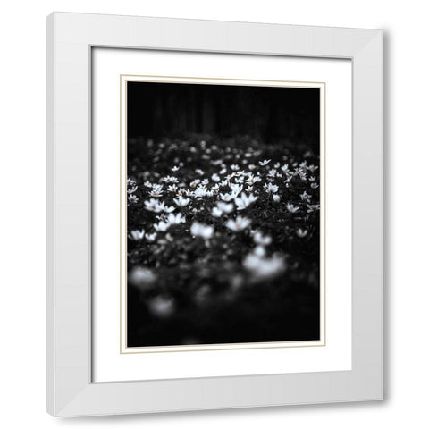 Windflowers White Modern Wood Framed Art Print with Double Matting by Design Fabrikken