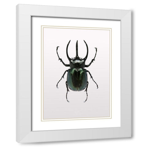 Beetle 2 White Modern Wood Framed Art Print with Double Matting by Design Fabrikken