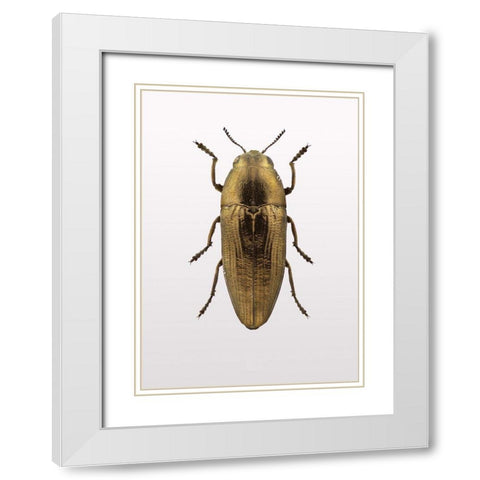 Beetle 4 White Modern Wood Framed Art Print with Double Matting by Design Fabrikken
