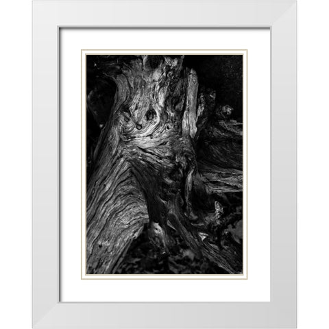 Black Wood White Modern Wood Framed Art Print with Double Matting by Design Fabrikken
