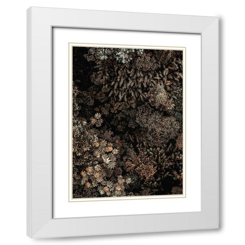 Secret 11 White Modern Wood Framed Art Print with Double Matting by Design Fabrikken