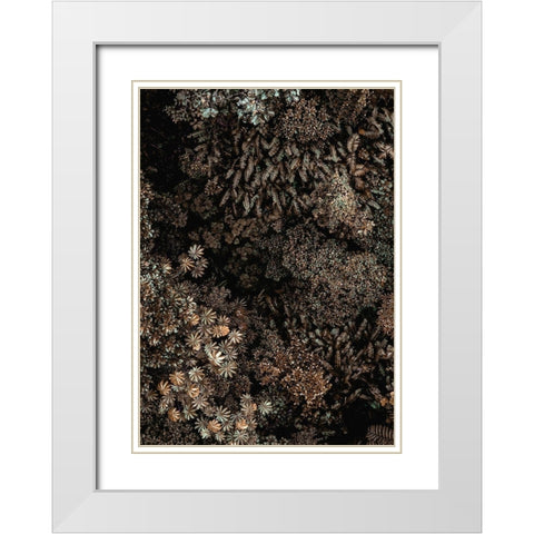 Secret 11 White Modern Wood Framed Art Print with Double Matting by Design Fabrikken