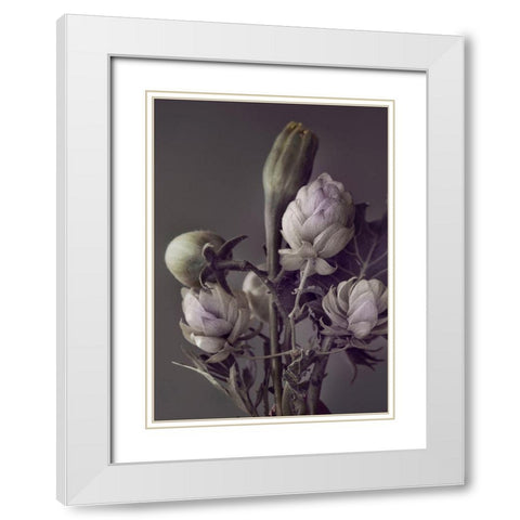 Secret 13 White Modern Wood Framed Art Print with Double Matting by Design Fabrikken