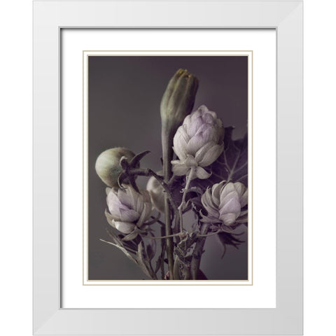 Secret 13 White Modern Wood Framed Art Print with Double Matting by Design Fabrikken