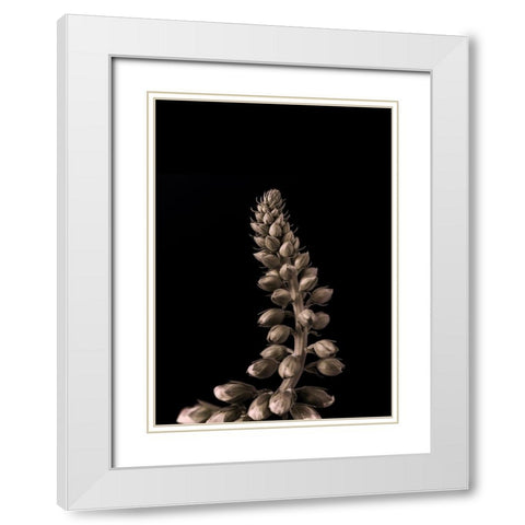 Upwards 2 White Modern Wood Framed Art Print with Double Matting by Design Fabrikken