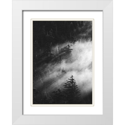 Misty Pine Woods White Modern Wood Framed Art Print with Double Matting by Design Fabrikken