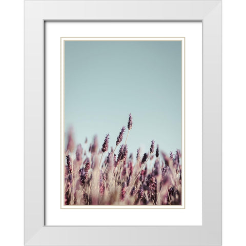 Field Haze White Modern Wood Framed Art Print with Double Matting by Design Fabrikken