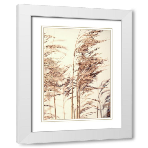 Reed 1 White Modern Wood Framed Art Print with Double Matting by Design Fabrikken