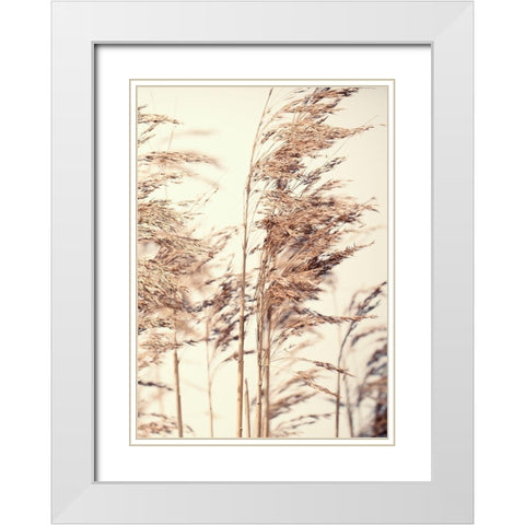 Reed 1 White Modern Wood Framed Art Print with Double Matting by Design Fabrikken