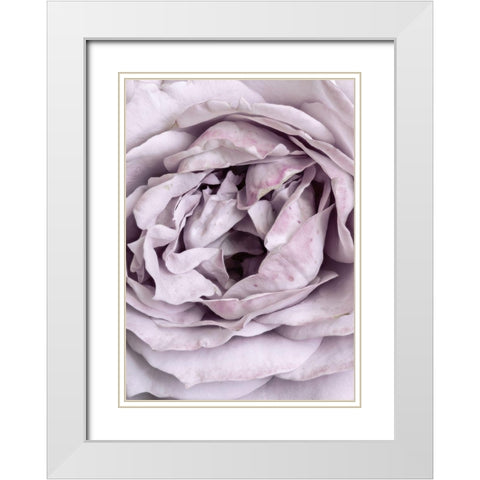 Rose Heart White Modern Wood Framed Art Print with Double Matting by Design Fabrikken