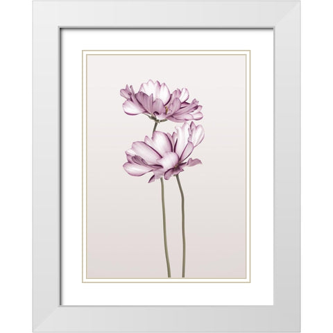 Cosmos 2 White Modern Wood Framed Art Print with Double Matting by Design Fabrikken