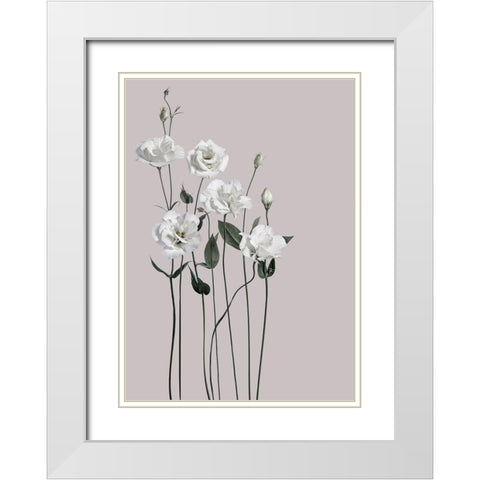 Flower 1 White Modern Wood Framed Art Print with Double Matting by Design Fabrikken